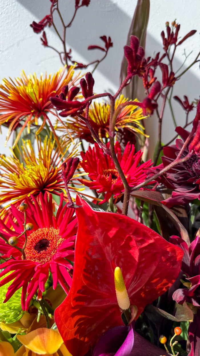 Arrangement. S
