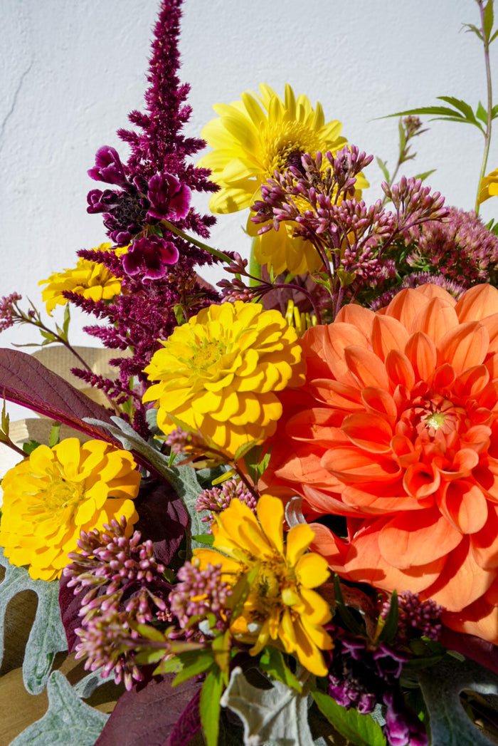 Arrangement. L