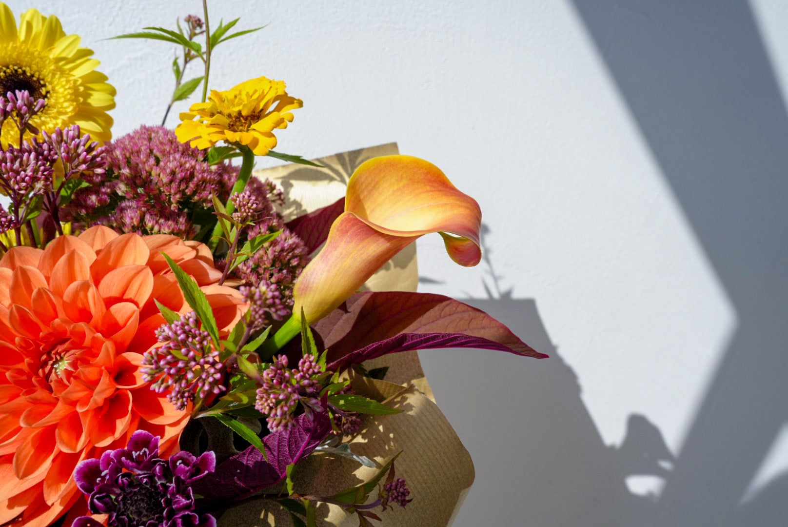 Arrangement. M