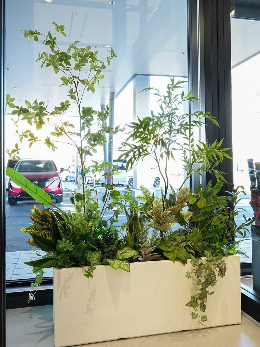 窓辺の白いプランターに植えたグリーン