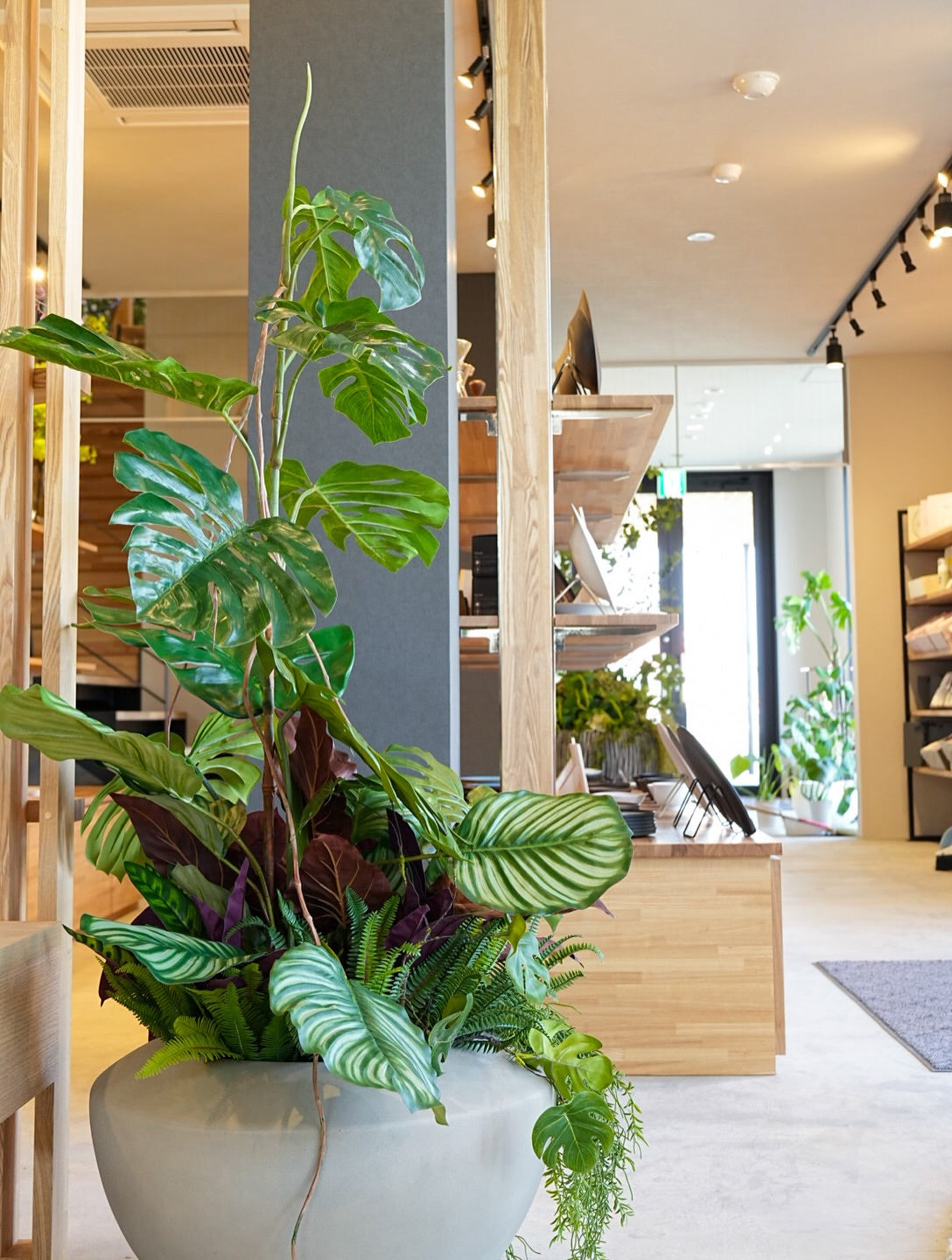 店内奥の観葉植物